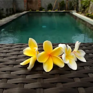 Eka Bali Gasthuis Ubud